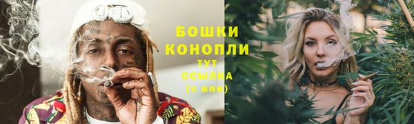 молекула духа Краснотурьинск