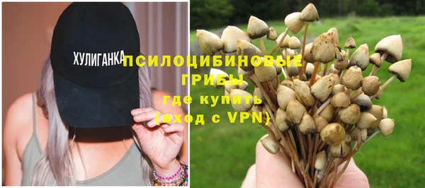 молекула духа Краснотурьинск